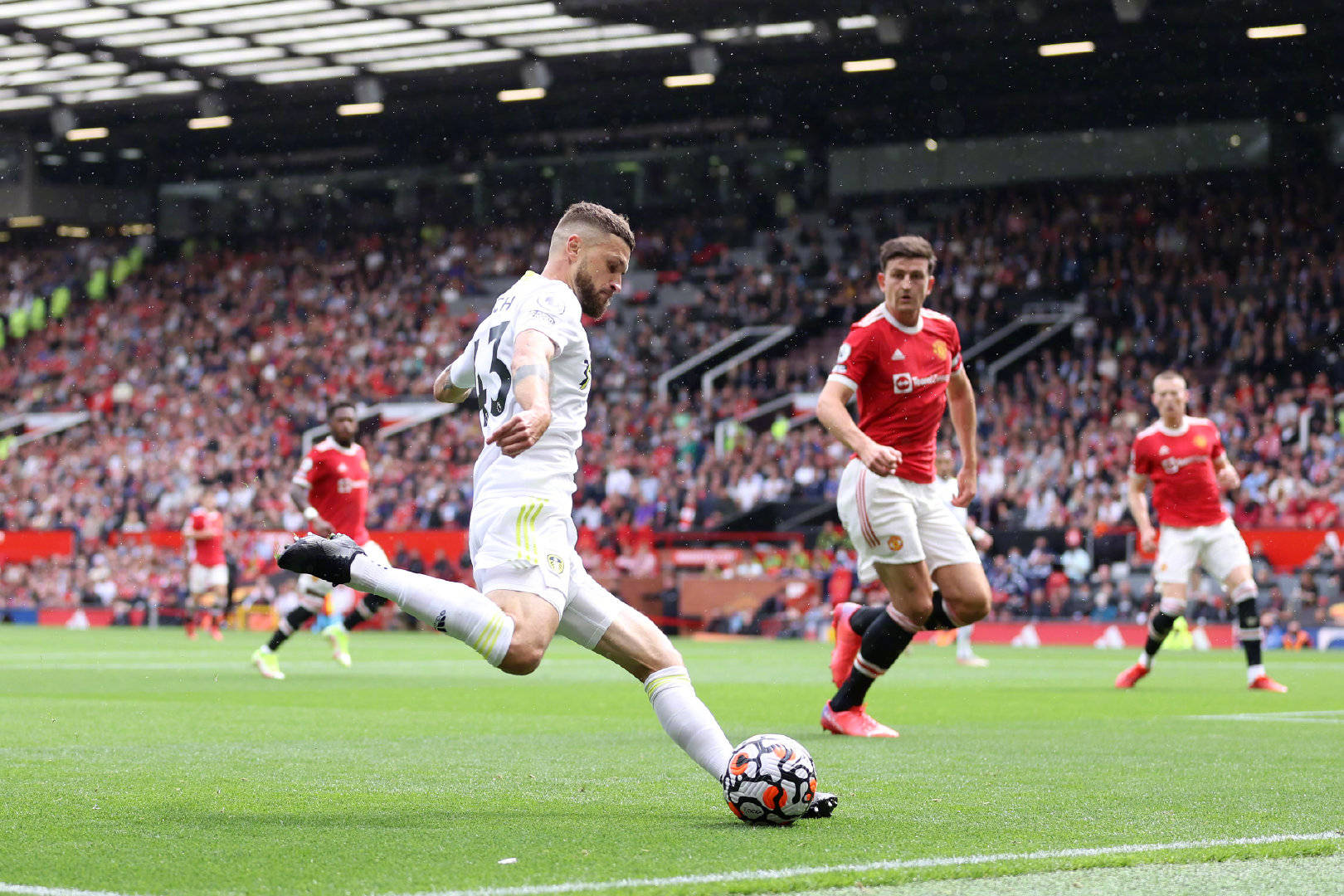 冷面回应 冷面回应